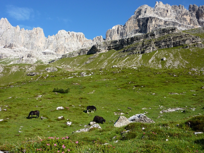 Le Dolomiti di Brenta Patrimonio Unesco